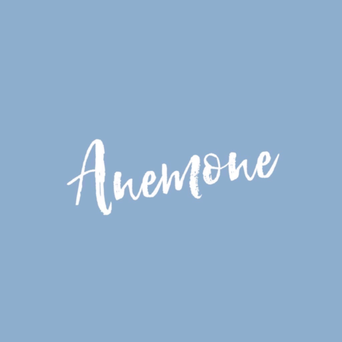 Anemone