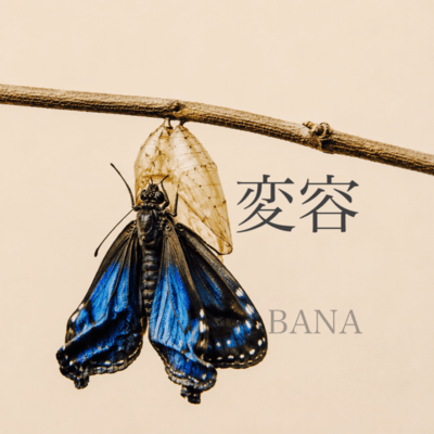 Metamorphosis
