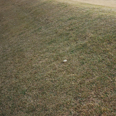 Kochia: murmur, 2026 Jan.