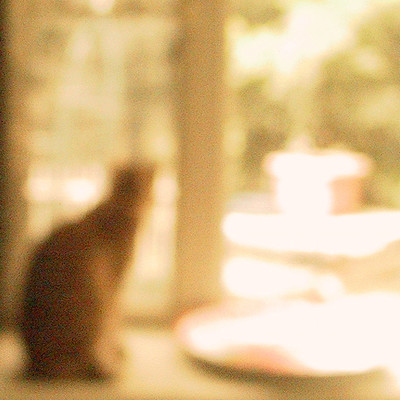 subtractive dreaming