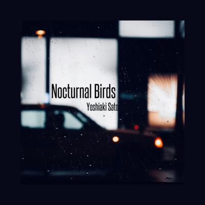 Nocturnal Birds