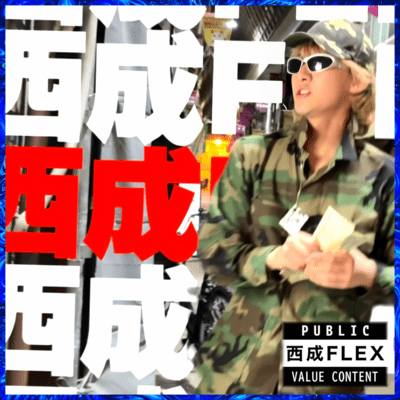 NISHINARI FLEX