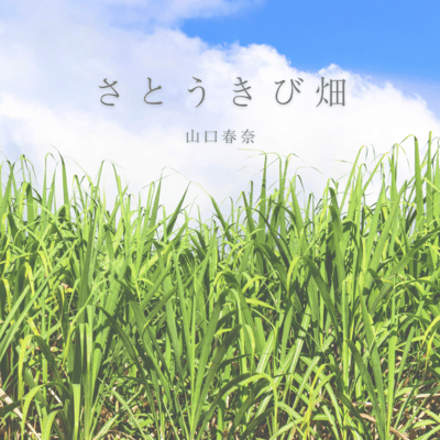 Sugarcane field