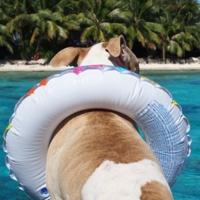Bora Bora Promise