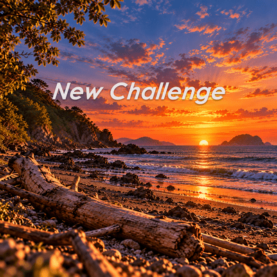 New Challenge