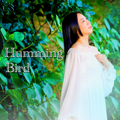 Humming Bird