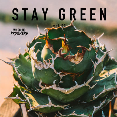 STAY GREEN vol.3