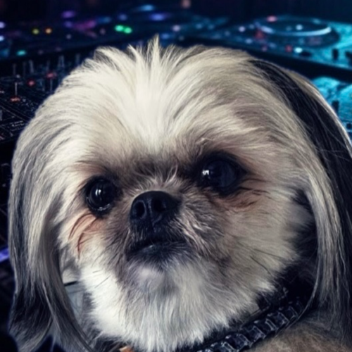 DJ MAME HIKO