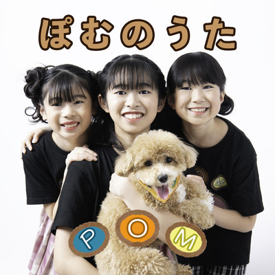POM Song