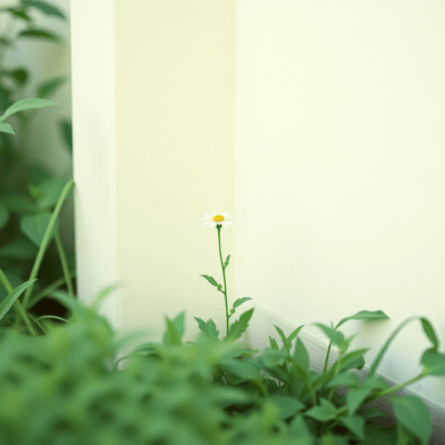 A gentle flower in the corner