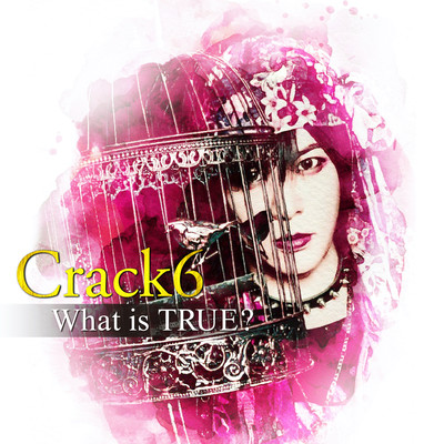 What is TRUE? (Stay Home Sweet Home Ver.)