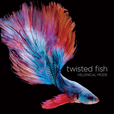 twisted fish