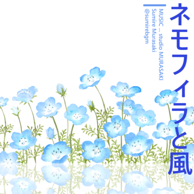 Nemophila and Wind