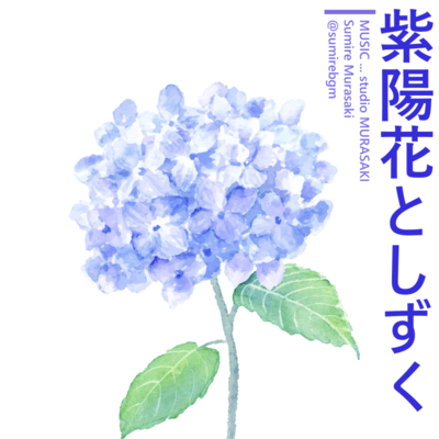 Hydrangeas and Raindrops