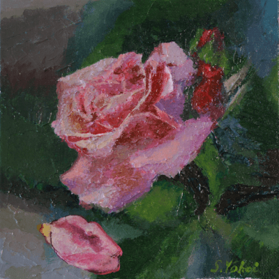 scarlet flower