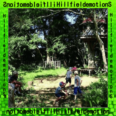 Hill Field Emotions