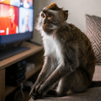 I'm just watching TV