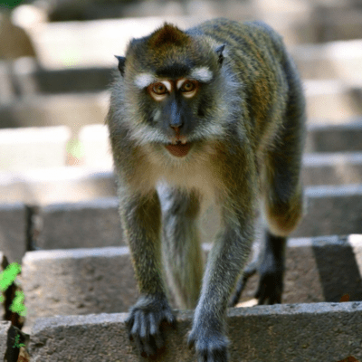 The stairs are under the stairs