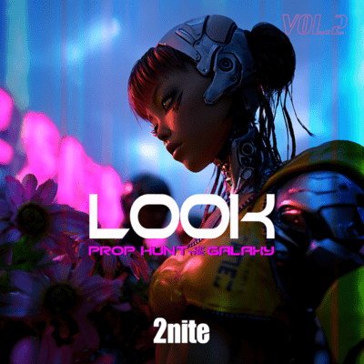 LOOK 2