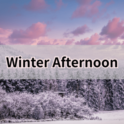 WInter Afternoon