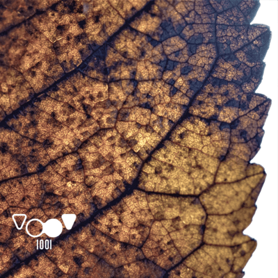 As Long As You're Alive