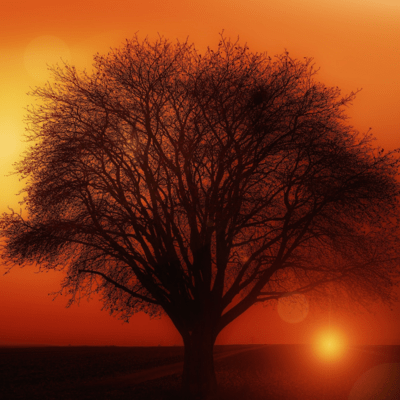 I can't do anything and I don't want to do anything