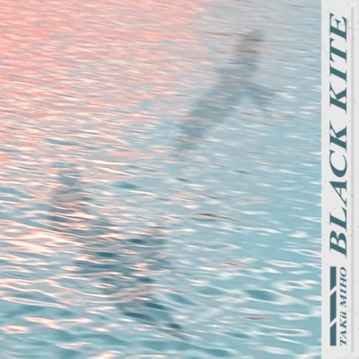 BLACK KITE