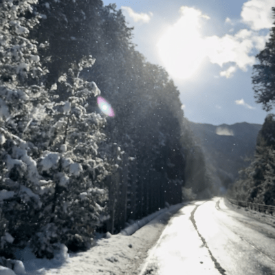 snowy winter