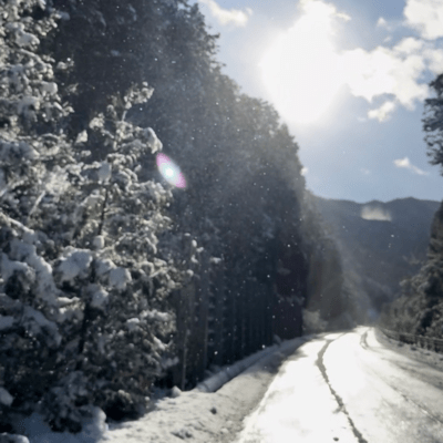snowy winter