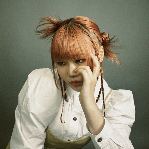 shokinofujibayashilika