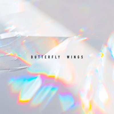 Butterfly Wings