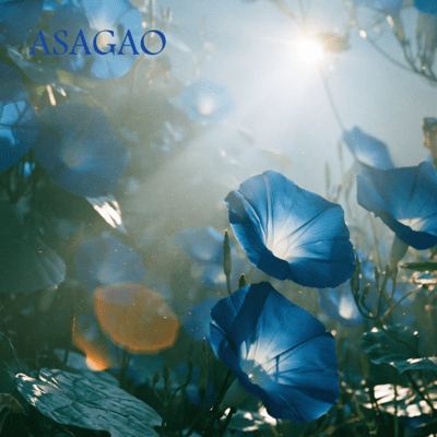 ASAGAO