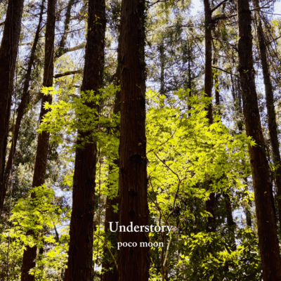 Understory