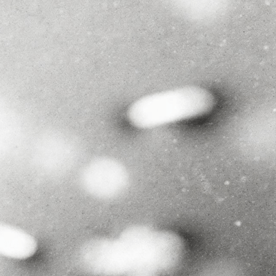 Somnambulism