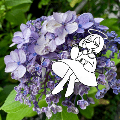 Ajisai