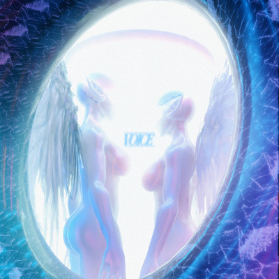 v_o_i_c_e