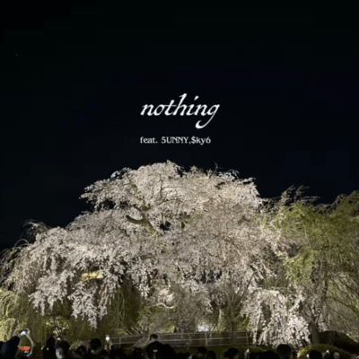 nothing
