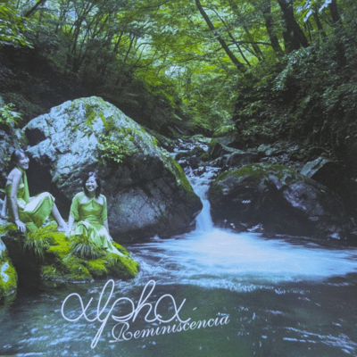 Promenade of plane trees