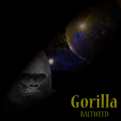Gorilla
