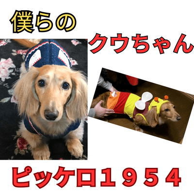 Our dear Koo-chan (feat. SHION, NAOKI, AKITO & TAKU)