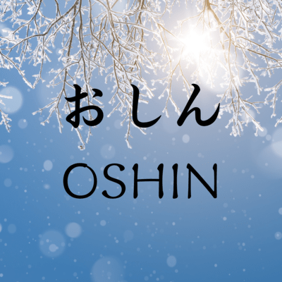 OSHIN'S THEME (Cover)