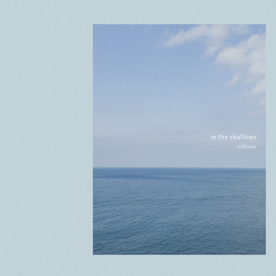 in the shallows