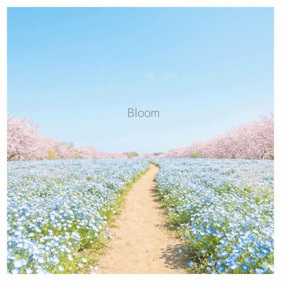 Bloom