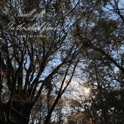 Small Gift ~In The Silent Forest~
