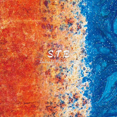 S.T.B
