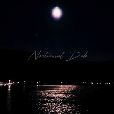 Nocturnal Dub