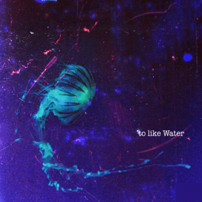to like Water
