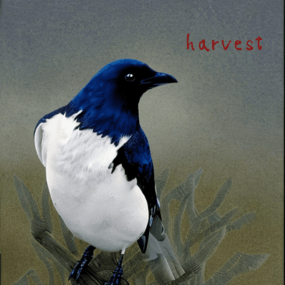harvest