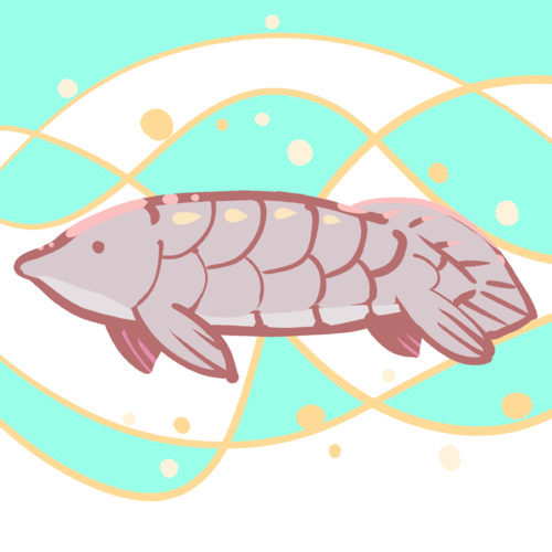 Shirai