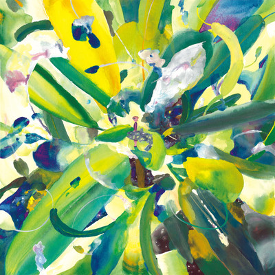Croton